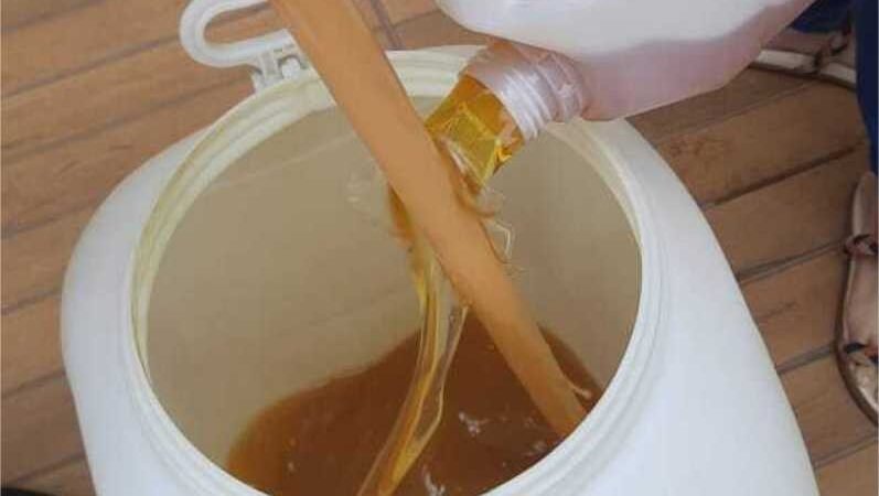 Campanha da PGE-MT coleta óleo de cozinha usado para fazer sabão biodegradável; veja como fazer a doação