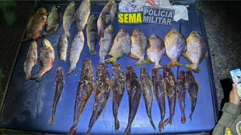 Fiscalização da Sema-MT apreende pescado e aplica R$ 14,5 mil em multas
