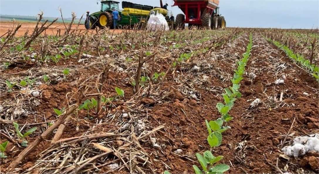 Semeadura da soja 2023/24 avança 20,85 pontos percentuais e chega a 35% da área