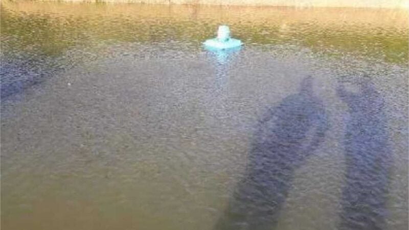 Menina de dois anos morre afogada ao cair em tanque de peixes em Paranaíta