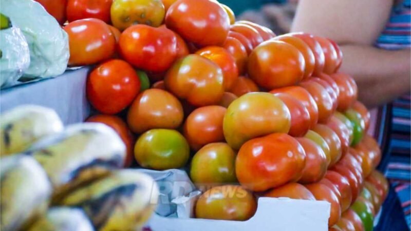 Preço da cesta básica recua, chega a R$ 730 e fica abaixo do patamar de 2022