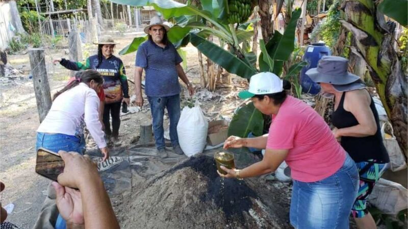 Empaer ensina produtores familiares a fazerem adubos orgânicos