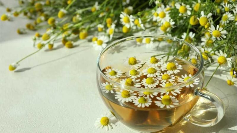 Como usar o chá de camomila no shampoo para clarear os cabelos?