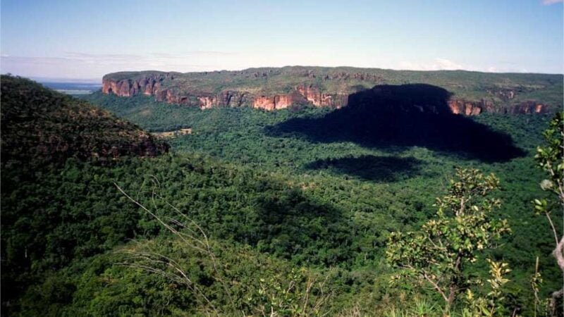 Comissão de Meio Ambiente aprova estadualização do Parque de Chapada