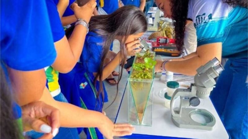 Escola realiza Feira de Profissões para orientar estudantes sobre Enem