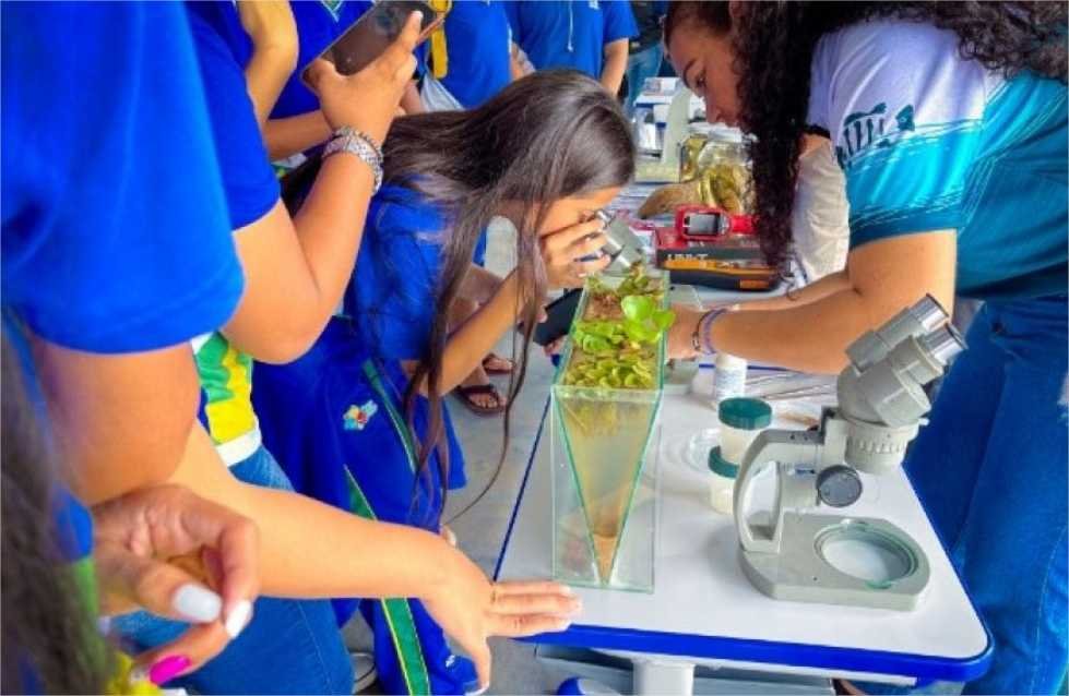 Escola realiza Feira de Profissões para orientar estudantes sobre Enem