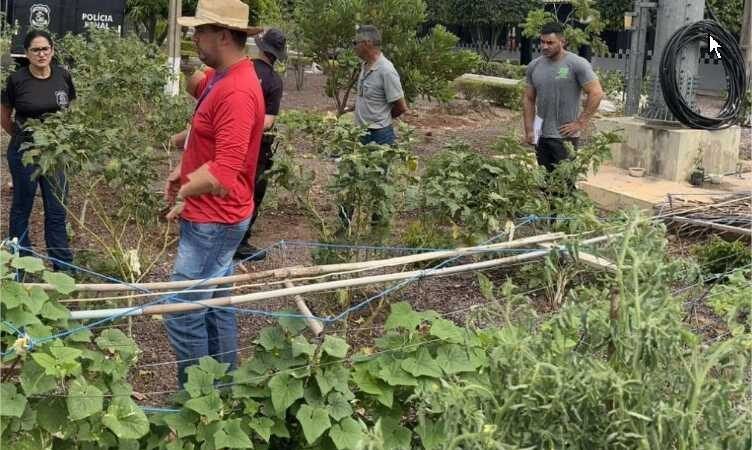 Penitenciária terá horta orgânica com assistência técnica da Empaer em Água Boa