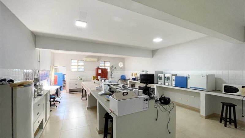 Alunos de Escola Técnica Estadual estudam veneno de sapo para uso em tratamentos de doenças crônicas