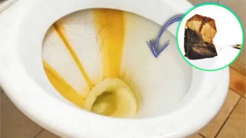 É assim que um saquinho de chá usado remove manchas amarelas de vasos sanitários