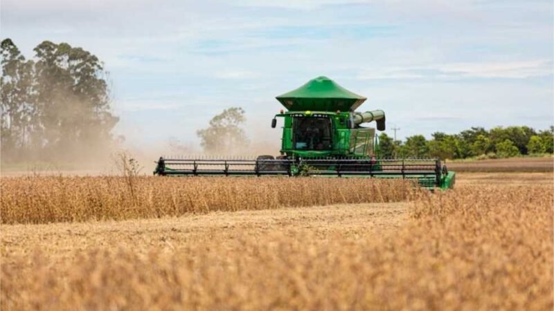 Calorão e seca preocupam agro, que prevê queda na produção