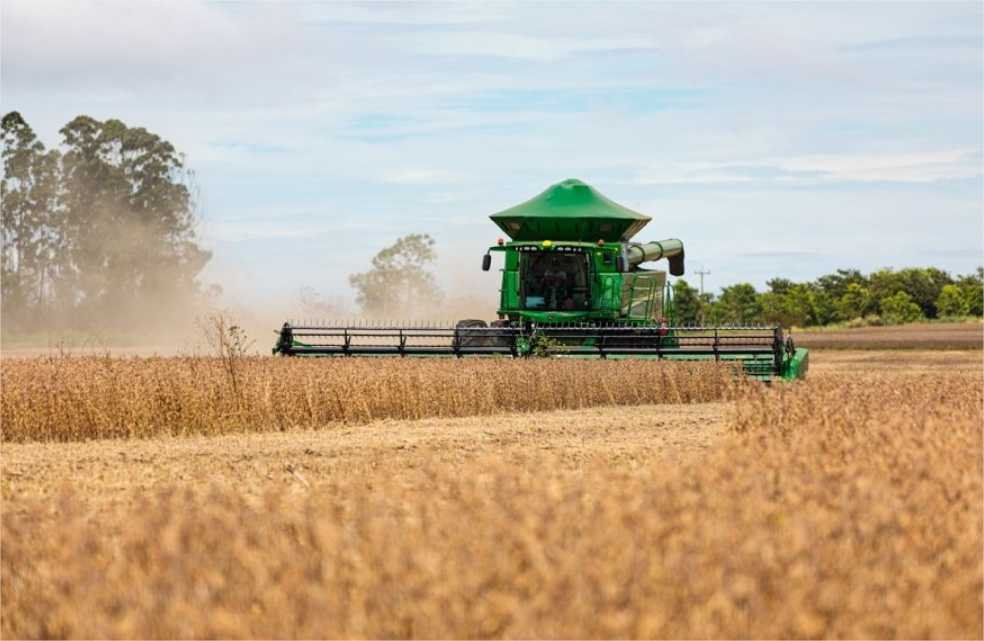 Calorão e seca preocupam agro, que prevê queda na produção