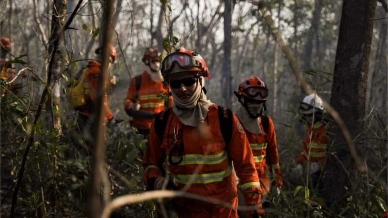 BID Pantanal vai injetar R$ 30 mi para prevenção de incêndios