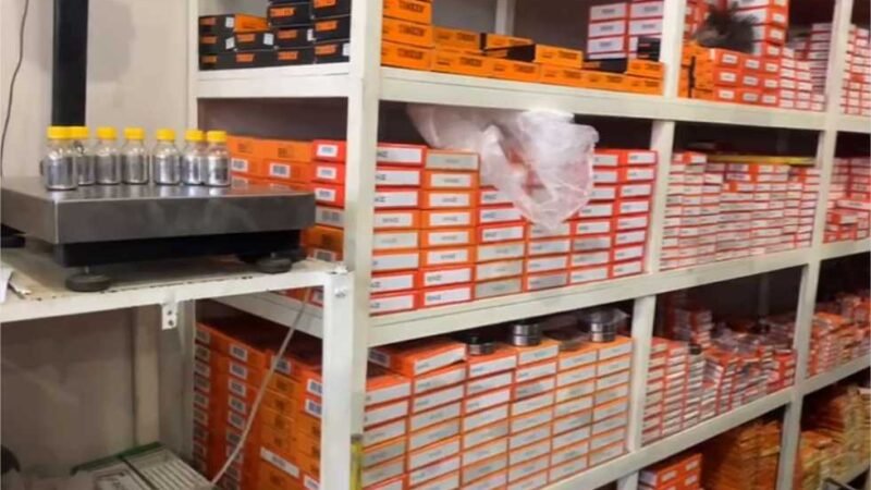 Organização criminosa alvo da ação da PF usava sistemas do Ibama para legalizar ouro extraído