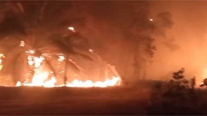 Incêndio ambiental chega à Transpantaneira e atinge pousada em Porto Jofre; veja vídeos