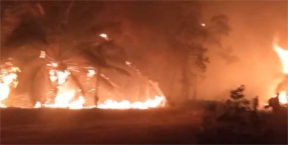 Incêndio ambiental chega à Transpantaneira e atinge pousada em Porto Jofre; veja vídeos