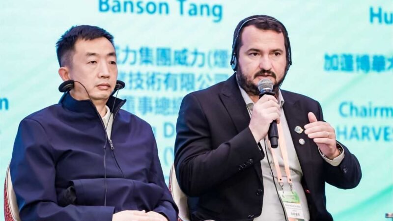 Entidades buscam ampliar mercado internacional para madeira brasileira