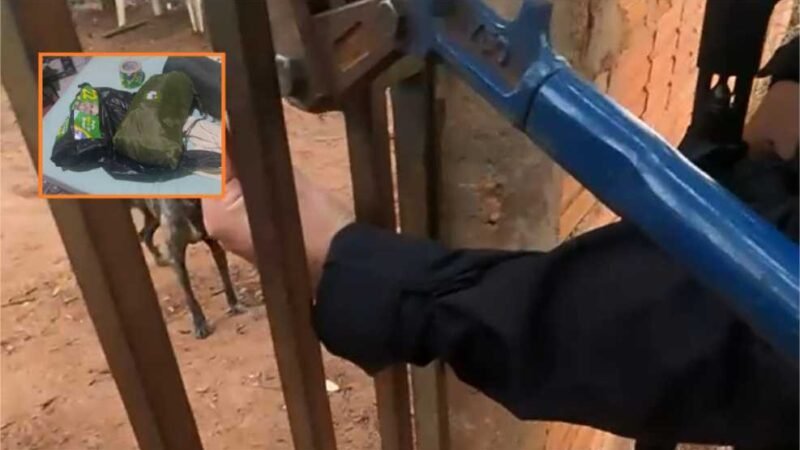 Vídeo mostra PF cumprindo prisão em Cáceres contra acusado de incitar golpe no DF; veja