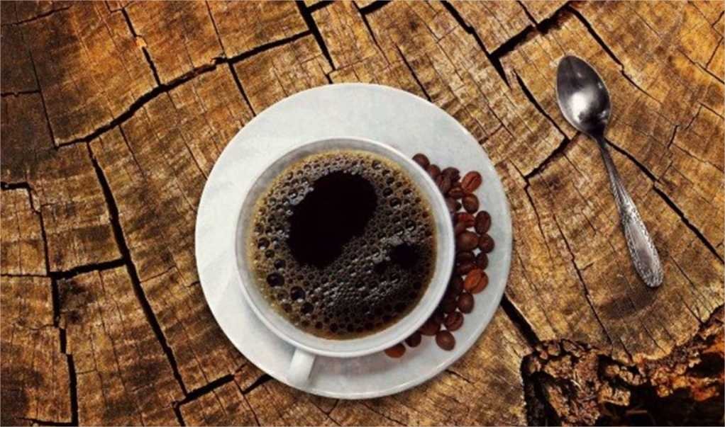 Café| Produção mundial atinge volume físico de 171,3 milhões de sacas de 60 kg