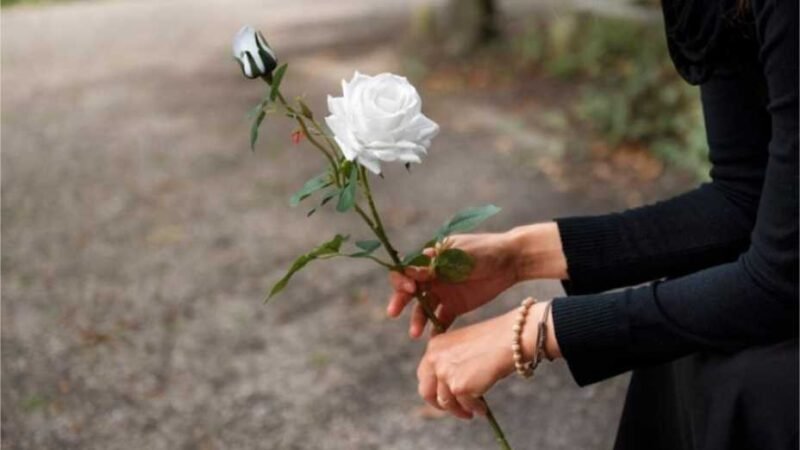 Vereador reforça ações de prevenção à dengue nos cemitérios de Cuiabá