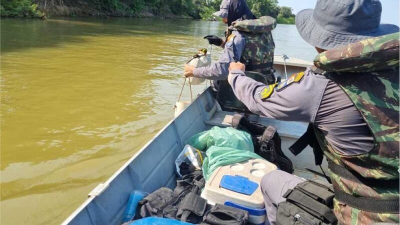 Em um mês, Sema-MT apreende 302 kg de pescado ilegal e devolve mais de 600 peixes aos rios
