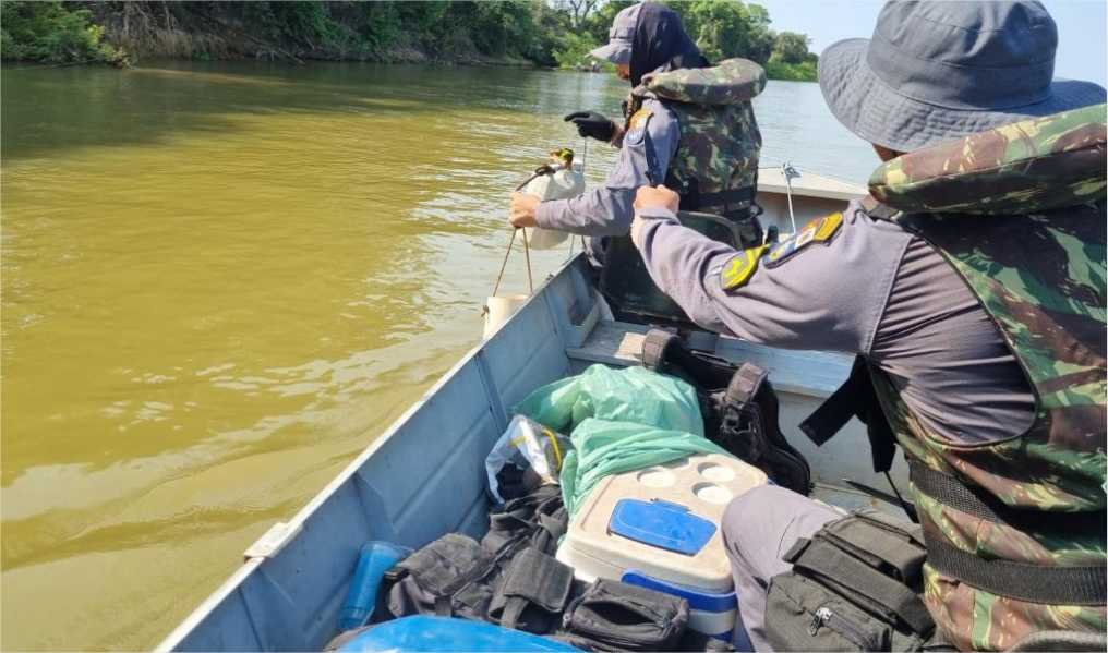 Em um mês, Sema-MT apreende 302 kg de pescado ilegal e devolve mais de 600 peixes aos rios