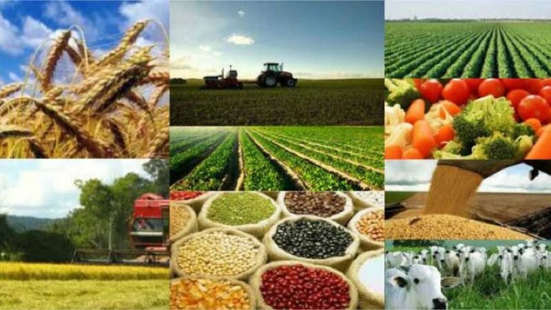 Preços agropecuários subiram 1,82% no atacado em dezembro, dentro do IGP-M, diz FGV