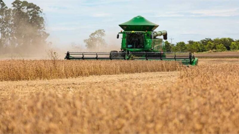 Agropecuária é o segundo setor que mais emprega em Mato Grosso