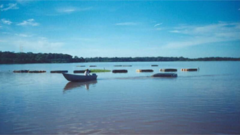 Sema-MT promove curso gratuito sobre piscicultura e recursos hídricos