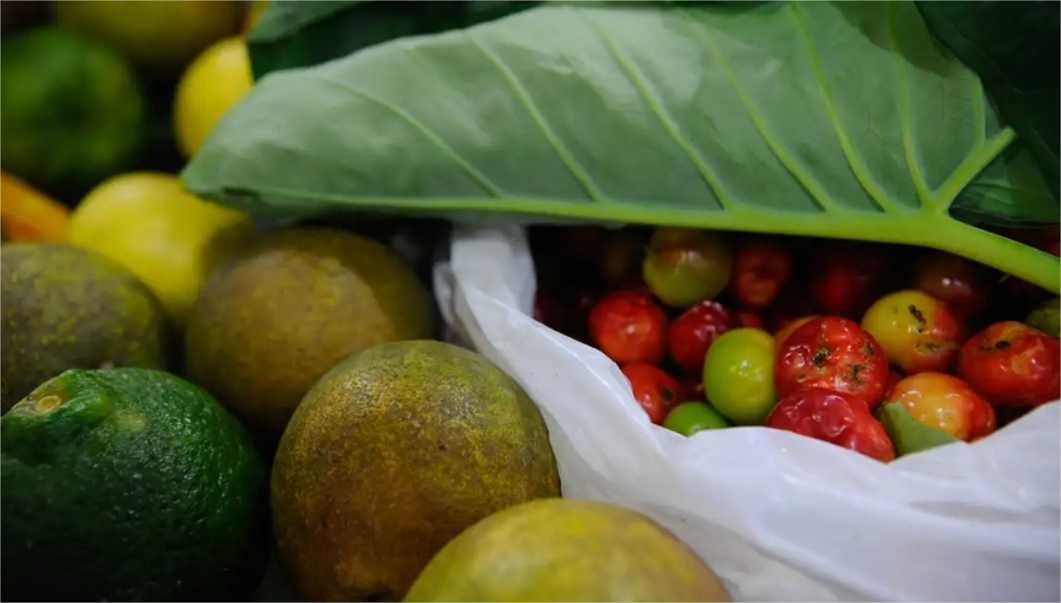 Lula sanciona com vetos Projeto de Lei dos Agrotóxicos