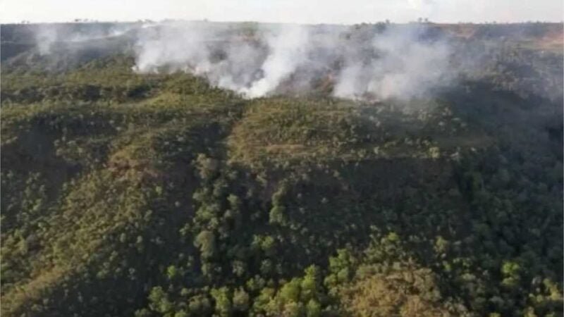 Incêndio atinge divisa do Santuário de Elefantes em Chapada