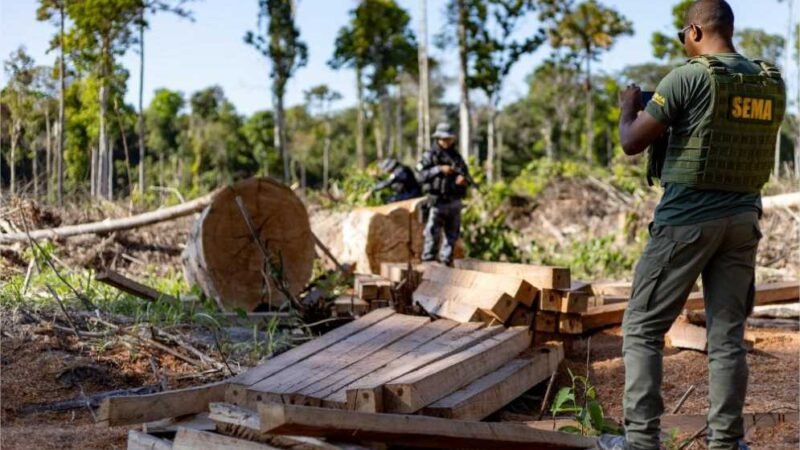Crimes ambientais são identificados e punidos em MT; R$ 1,8 bilhão em multas