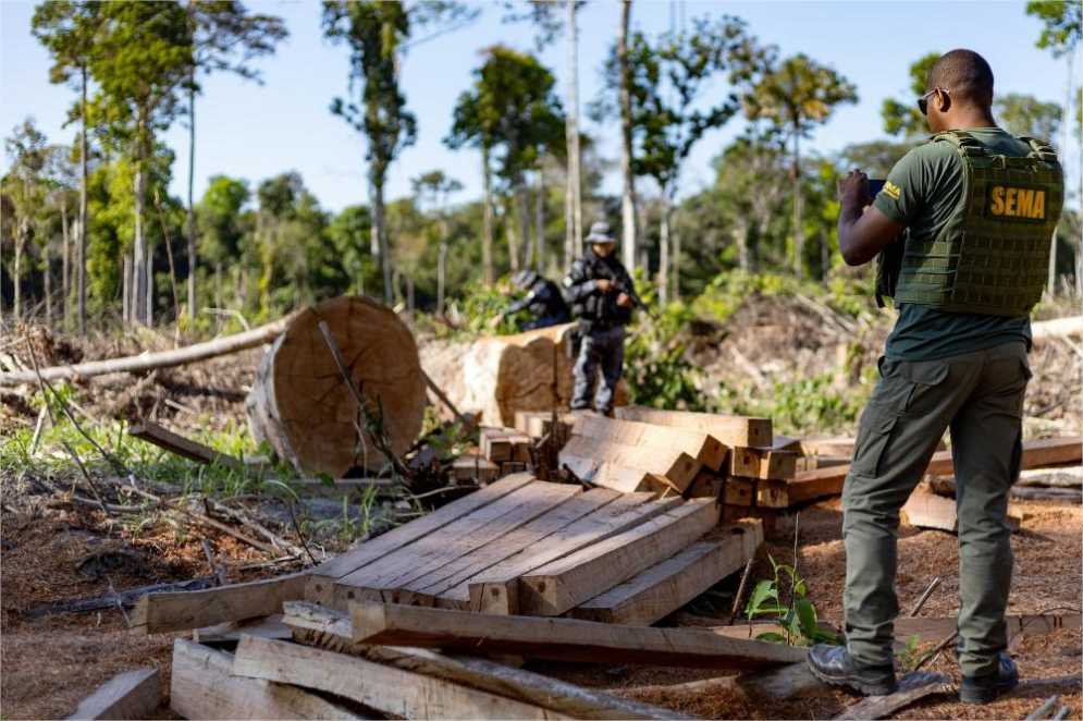 Crimes ambientais são identificados e punidos em MT; R$ 1,8 bilhão em multas