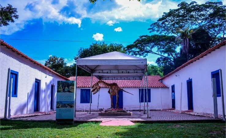 Museu de História Natural oferece atrações natalinas e inaugura trilha e biblioteca