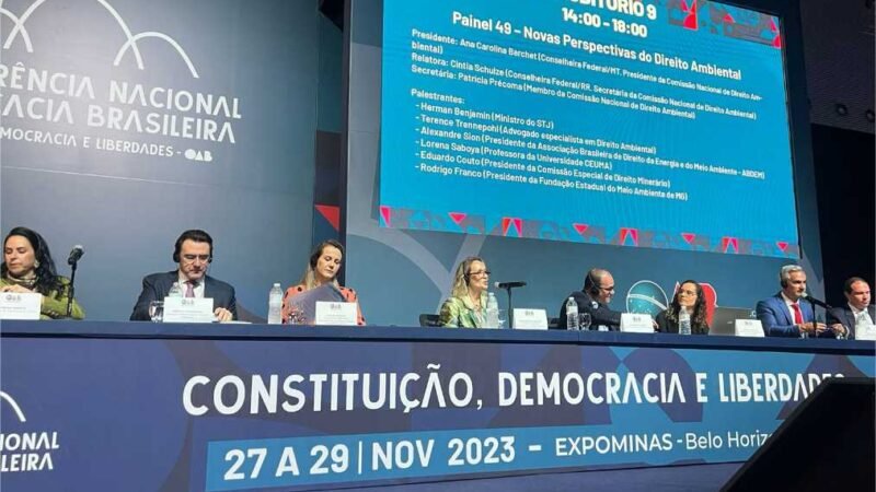 Em painel, advogada de MT defende amplo direito de defesa em ações ambientais
