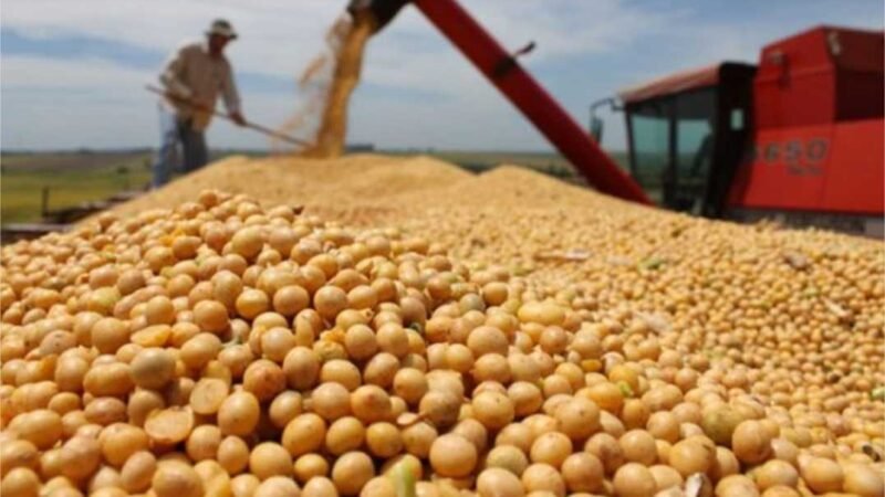 PIB do agro cai no 3º trimestre e acumula queda de 0,91% no ano