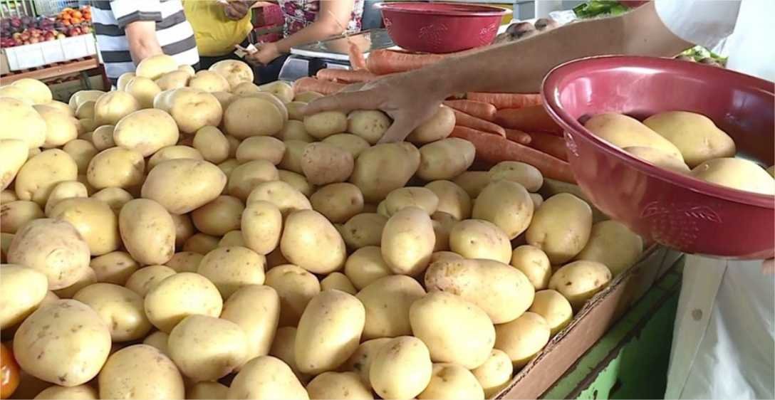 Cesta básica em Cuiabá segue em alta em janeiro e atinge maior valor