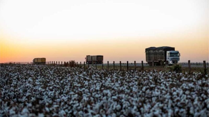 Detran-MT orienta sobre prorrogação de prazo de exames toxicológicos