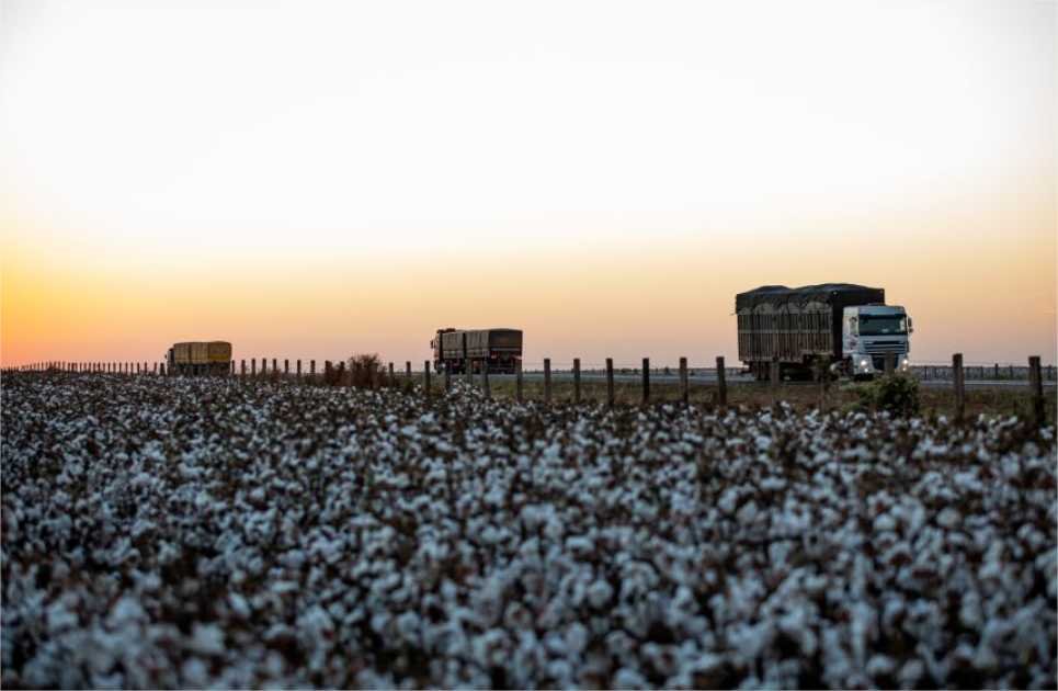 Detran-MT orienta sobre prorrogação de prazo de exames toxicológicos