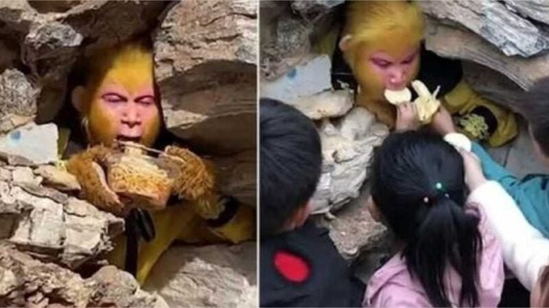 Chineses recebem salário de R$ 6,8 mil para se vestir de macaco e ser alimentados por turistas