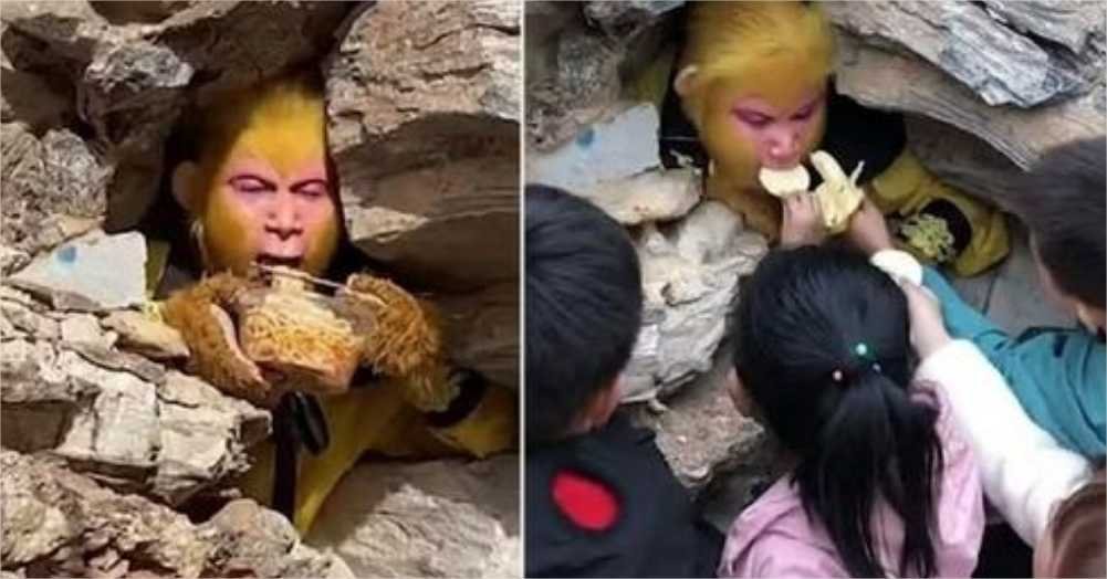 Chineses recebem salário de R$ 6,8 mil para se vestir de macaco e ser alimentados por turistas