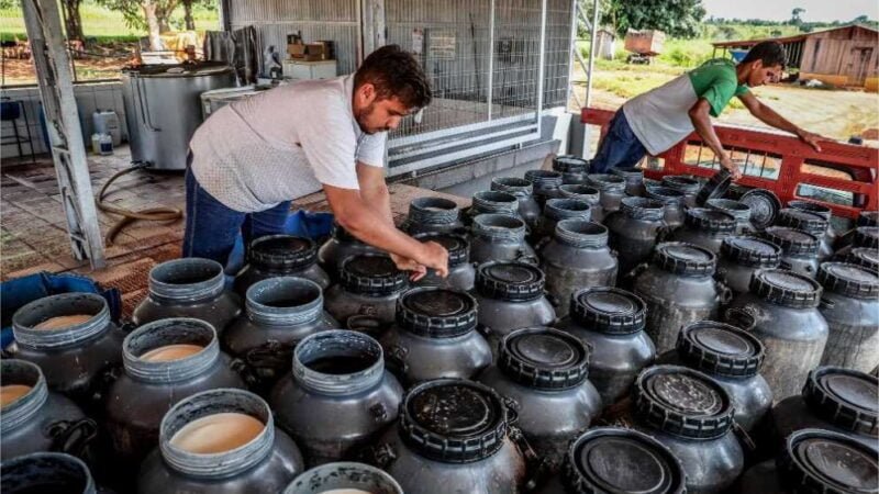 Governo de MT sanciona duas leis para fortalecer a agricultura familiar no Estado
