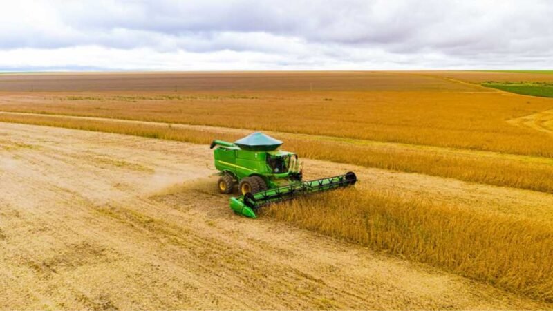 Safra de soja em MT deve ter quebra de 21%, aponta pesquisa da Aprosoja-MT