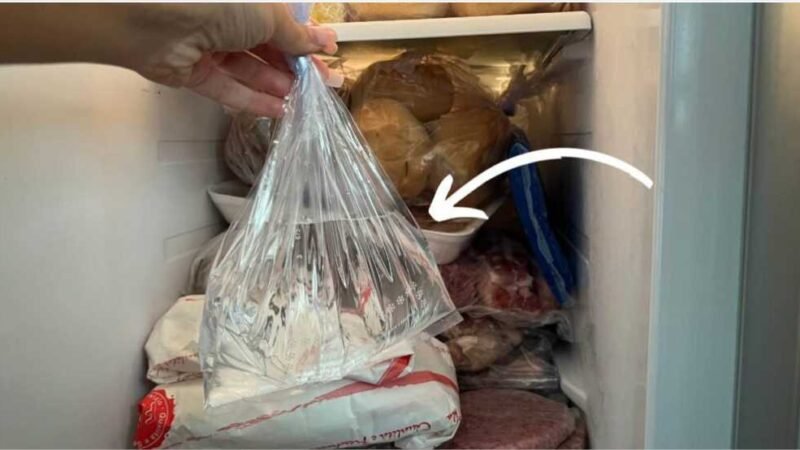 Por que você deve colocar sacos cheios de água na geladeira para economizar muito no final do mês?