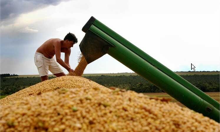 Produção de MT foi exportada para 23 novos países no ano passado