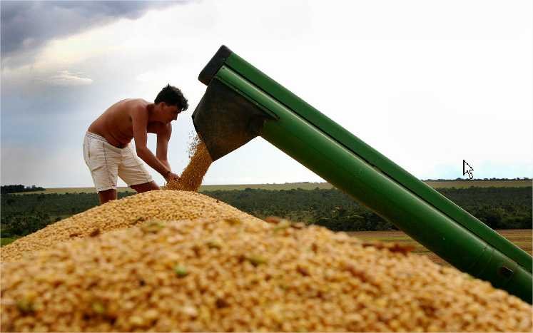 Produção de MT foi exportada para 23 novos países no ano passado