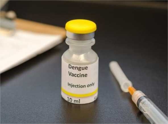 Vacinação contra dengue inicia em fevereiro