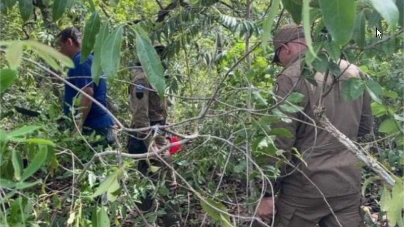 Bombeiros de Alta Floresta procuram homem que saiu para caçar e desapareceu