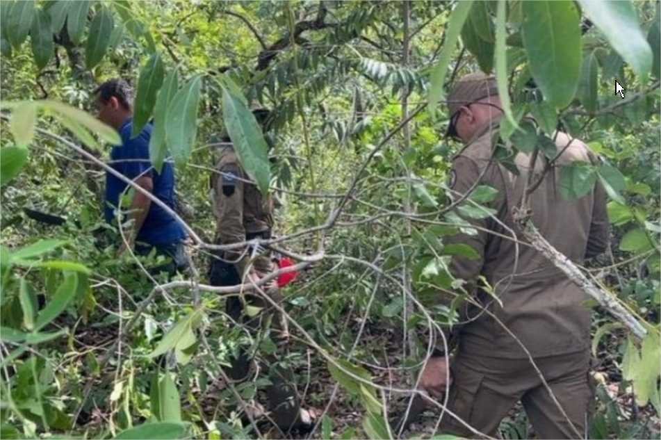 Bombeiros de Alta Floresta procuram homem que saiu para caçar e desapareceu
