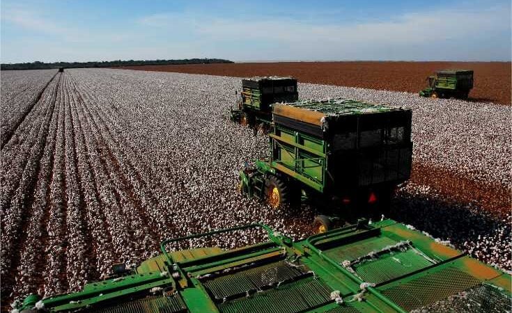 Proder, Proalmat e Prodeic: prazo para entrega de relatório de monitoramento vai até 15 de março