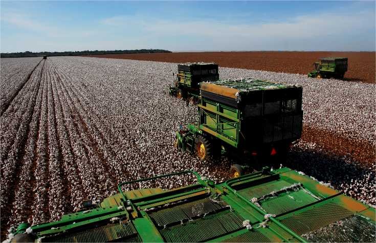 Proder, Proalmat e Prodeic: prazo para entrega de relatório de monitoramento vai até 15 de março